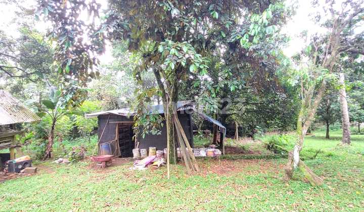 Spacious Land in Tamansari Ciapus Bogor, Cool Air, Good Access