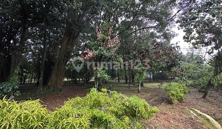 Lahan Usaha Lokasi Strategis Bentuk Bagus View Alam Luar Biasa 2