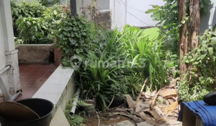 Rumah Vintage Ditengah Kota Bogor Suryakencana 2