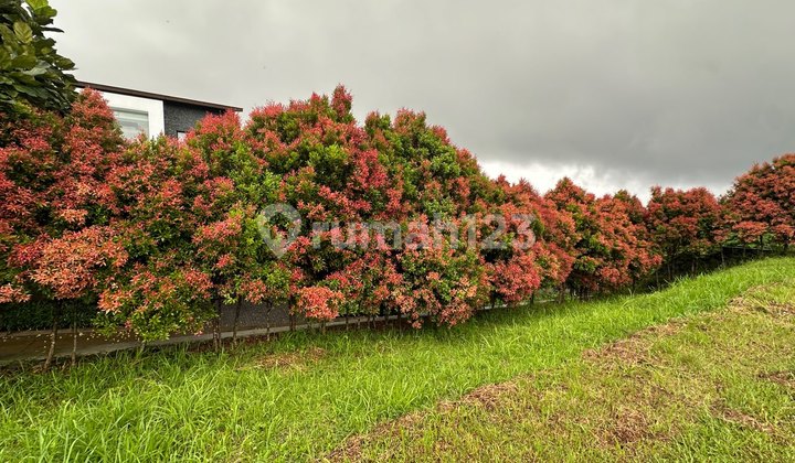 Best Plot for Sale in Rancamaya Golf Hook