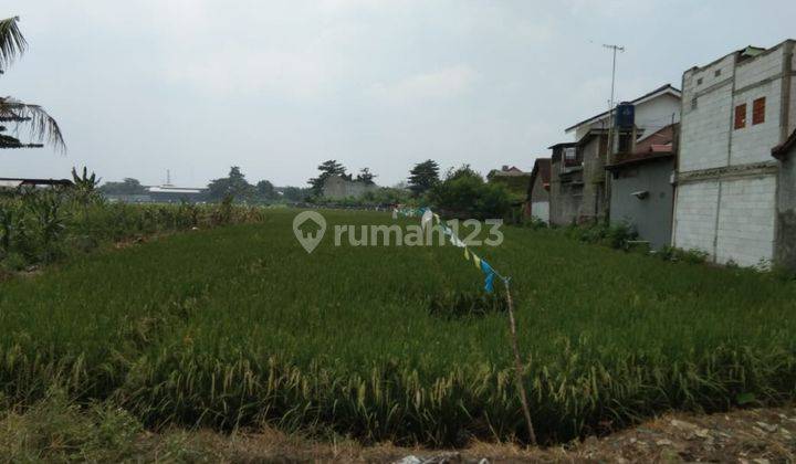 Tanah zona kuning di Perbatasan Karawang timur dan barat 2