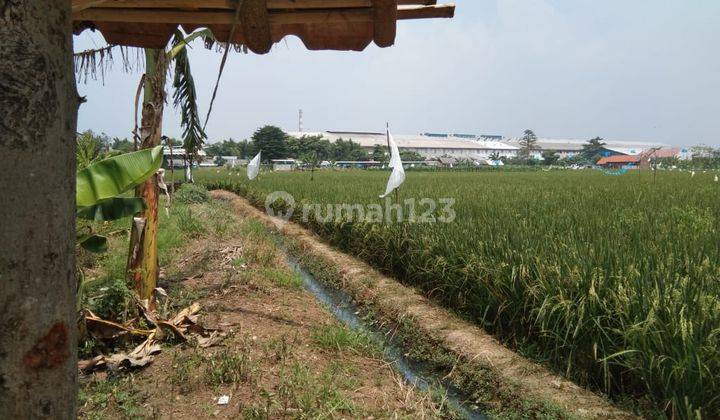 Tanah zona kuning di Perbatasan Karawang timur dan barat 4