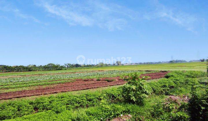 Lahan Perumahan Zona Kuning di Pasar Kemis Rajeg,  Tangerang 2