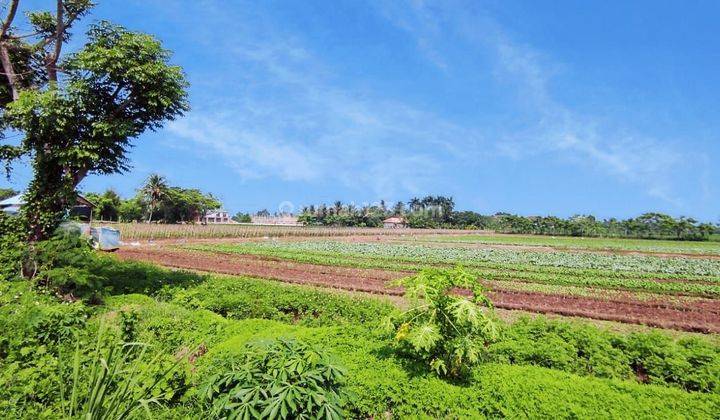 Lahan Perumahan Zona Kuning di Pasar Kemis Rajeg,  Tangerang 1