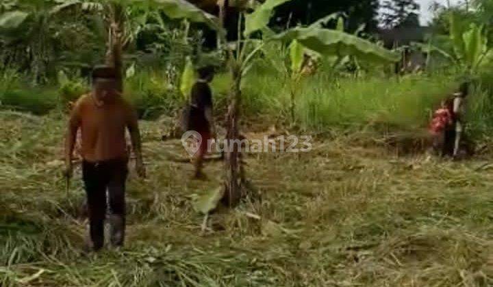 Lahan Perumahan Murah di Cibogo,  Cisauk Tangerang 2