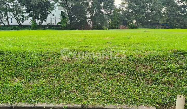 Commercial Lot Near Sunburst and Behind Giant BSD Commercial Lot Near Sunburst and Behind Giant BSD