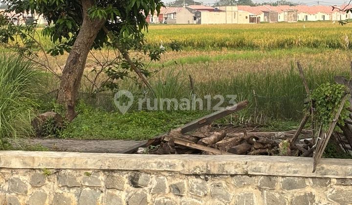 Tanah Buat Perumahan Disepatan Tangerang  2