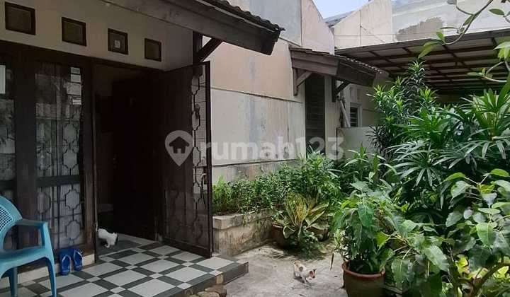 Dijual Cepat Rumah Tua di Regensi Melati Mas 1