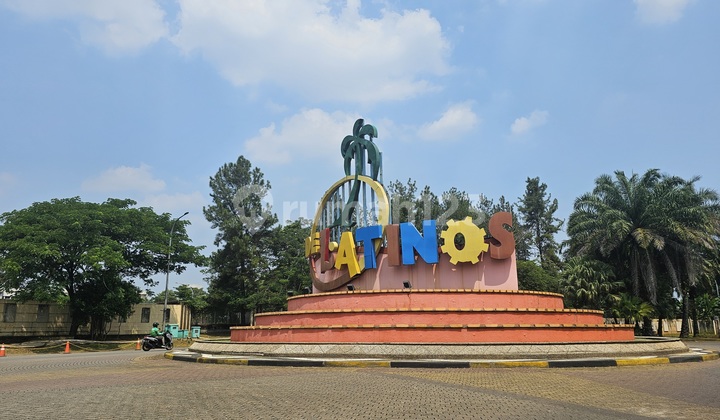 Kavling Hook Delatinos Patagonia