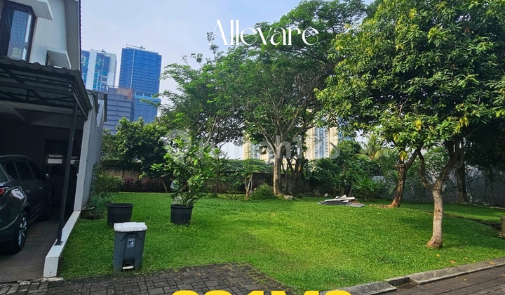 Foresta Allevare Plot