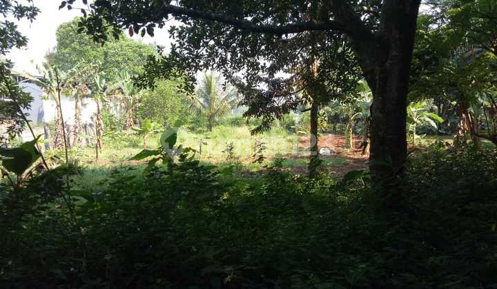 A Plot of Land for Sale in Kelapa Nunggal Area, Cileungsi A Plot of Land for Sale in Kelapa Nunggal Area, Cileungsi