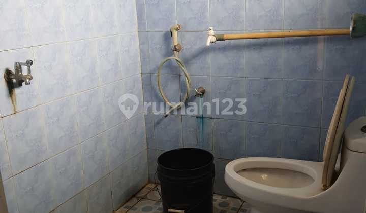 Investment in Plots + Rice Fields, Villa House Bonus