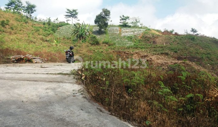 Tanah View Tawangmangu Cantik Luas 20361m cocok buat investasi  5