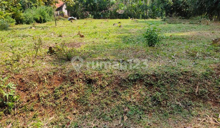 Tanah 1390 m² strategis lokasi plosorejo matesih cocok investasi 3