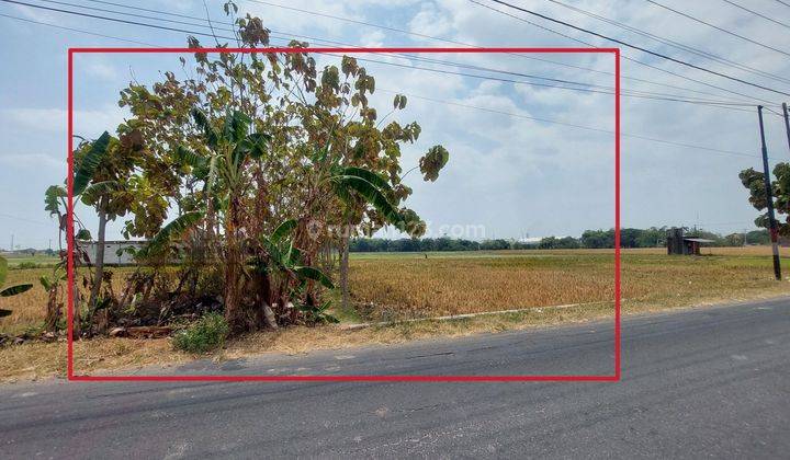 Tanah 500 m² tanah tepi jalan cocok investasi komerisial jaten 1