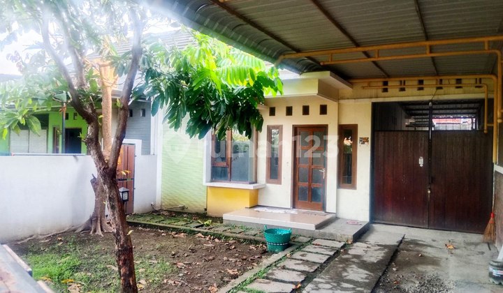 Nice House Ready to Occupy for Rent, Location: Baturan, Colomadu, Solo Nice House Ready to Occupy for Rent, Location: Baturan, Colomadu, Solo