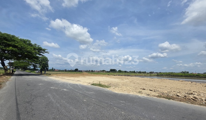 Tanah Pekarangan Strategis Dekat Bandara Harga Termurah Sekali