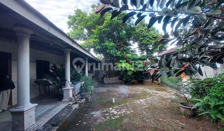 Rumah Bagus Cocok Buat Usaha Luas Lega Di Plesungan Solo 2