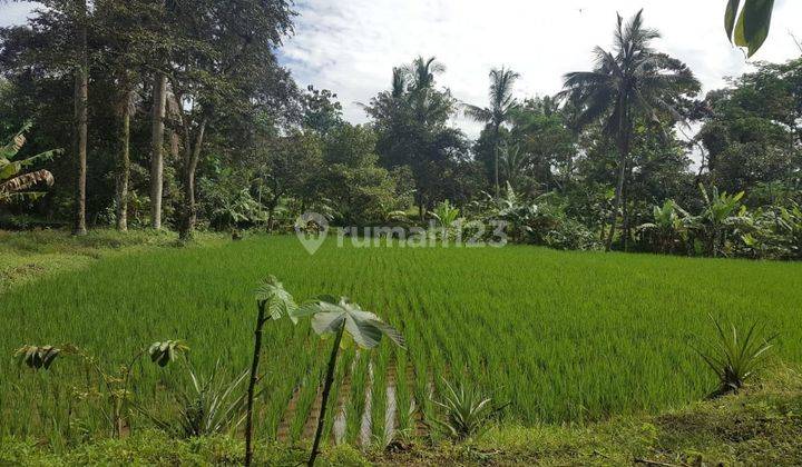 Tanah Luas Dan Strategis di Cimalati Sukabumi Jawa Barat 2