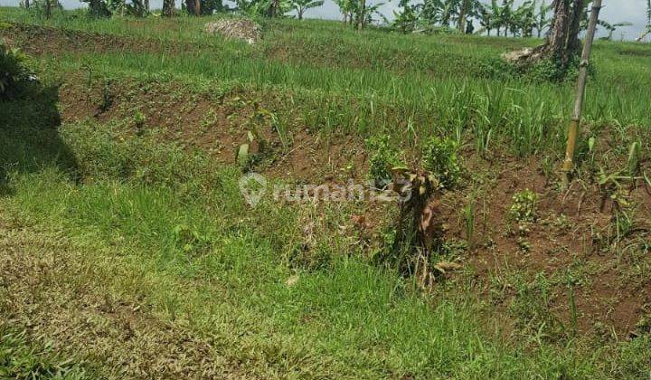 Tanah Luas Dan Strategis di Cimalati Sukabumi Jawa Barat 3