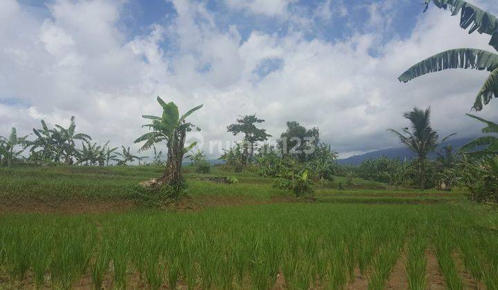 Tanah Luas Dan Strategis di Cimalati Sukabumi Jawa Barat 7