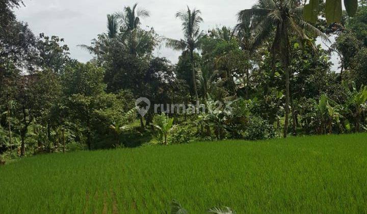 Tanah Luas Dan Strategis di Cimalati Sukabumi Jawa Barat 6