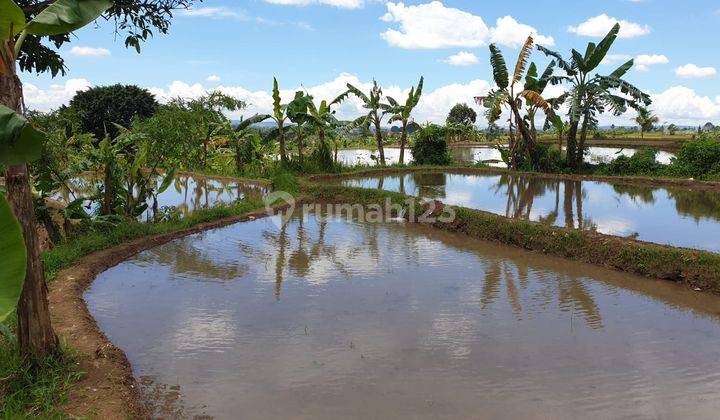 Tanah Luas Dan Strategis di Cimalati Sukabumi Jawa Barat 11