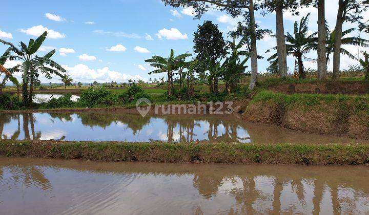 Tanah Luas Dan Strategis di Cimalati Sukabumi Jawa Barat 12