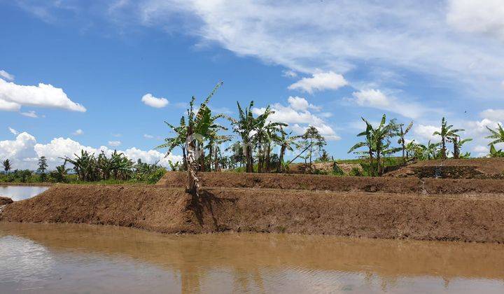 Tanah Luas Dan Strategis di Cimalati Sukabumi Jawa Barat 14