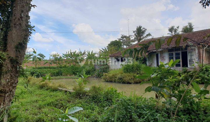 Tanah Luas Dan Strategis di Cimalati Sukabumi Jawa Barat 16