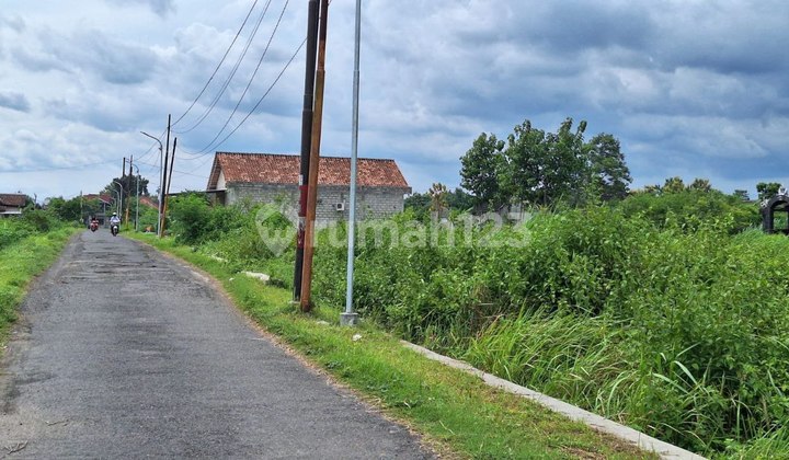 Spacious Land in Berbah Suitable for Housing Near Pillow Lava