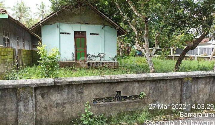 Murah Tanah Luas Posisi Hook 10 menit Tempat Ngopi Viral Kopi Ampirono Kulon Progo 4