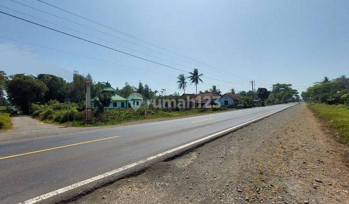 Tanah Murah di Purworejo Tepi Jl Daendels Barat Bandara Nyia 2