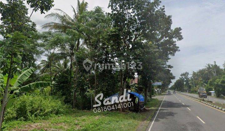 Tanah Murah Tepi Jl. Daendels 7 Menit Bandara YIA 1