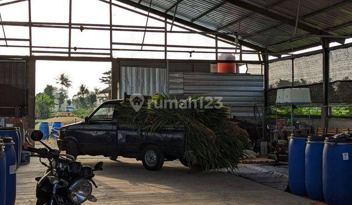 Jual Tanah dan Usaha Peternakan Kambing Perah dekat Perumahan Bale Mulia 2