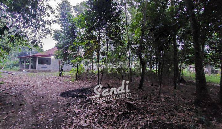 Tanah Strategis Tepi Jl. Daendels Ambal Kebumen 2