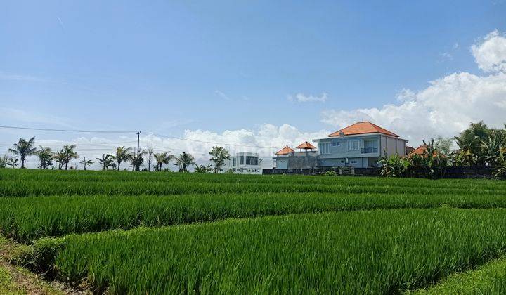 Tanah siap bangun view sawah 3
