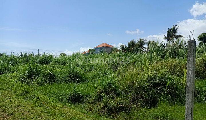 Tanah siap bangun view sawah 5