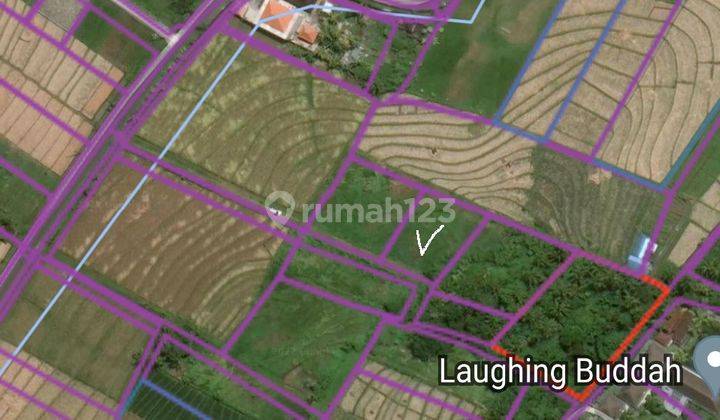 Tanah siap bangun view sawah 9