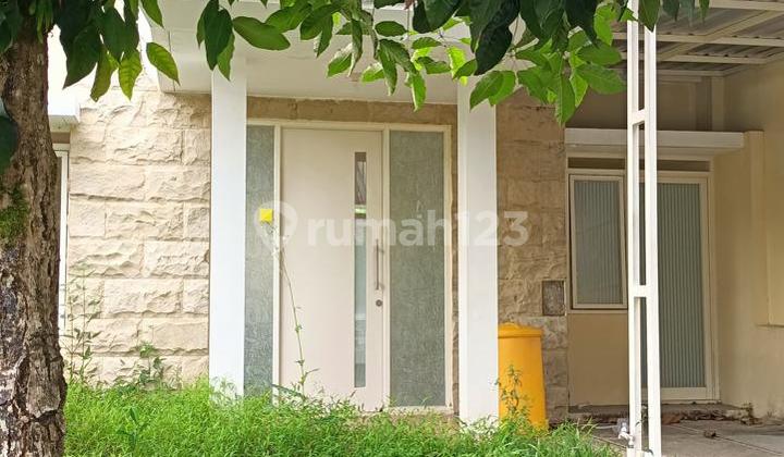 For Sale Queensland Cluster House Block Q3/02 Citraland Ambon For Sale Queensland Cluster House Block Q3/02 Citraland Ambon