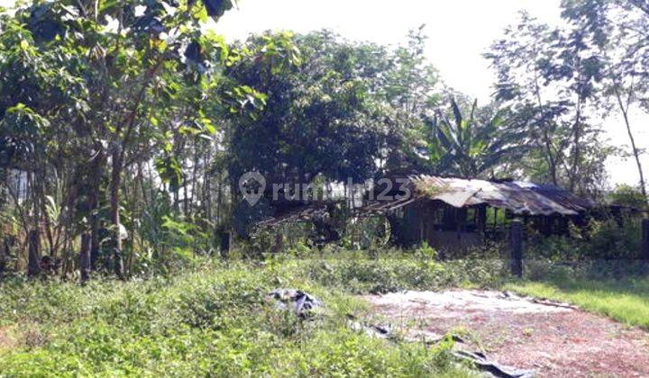 Tanah industri di Tambak aji Semarang 2