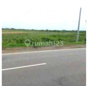 Tanah Industri di Jalan Lingkar kaliwungu SHM 1