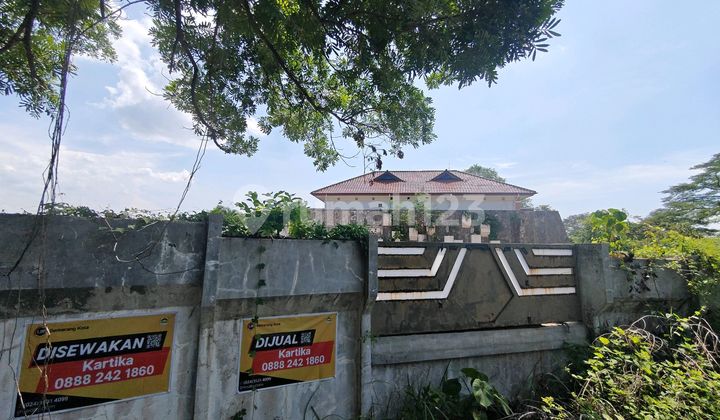 City Center Rental Land with City View 2