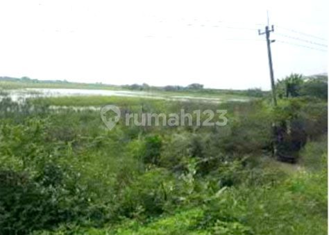 Tanah Industri di Jalan Lingkar Kaliwungu SHM Tanah Industri di Jalan Lingkar Kaliwungu SHM