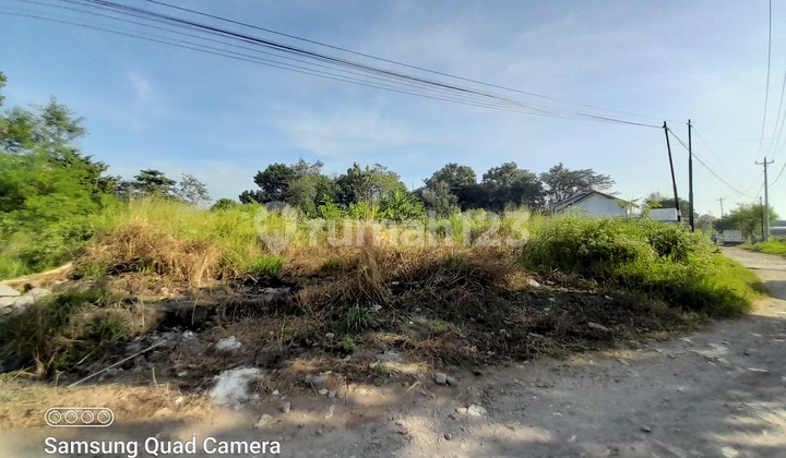TANAH CANTIK - SHM PEKARANGAN DI DEKAT PASAR STAN MAGUWOHARJO DEPOK SLEMAN 4