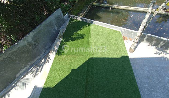 MURAH BANGET...! RUMAH MEWAH MODERN 3 LANTAI DENGAN TANAH LUAS DAN BONUS KOLAM IKAN DI TURI SLEMAN YOGYAKARTA 4