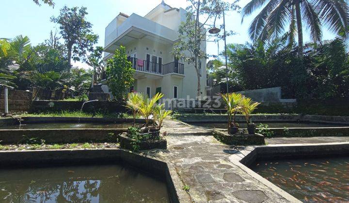 MURAH BANGET...! RUMAH MEWAH MODERN 3 LANTAI DENGAN TANAH LUAS DAN BONUS KOLAM IKAN DI TURI SLEMAN YOGYAKARTA 8