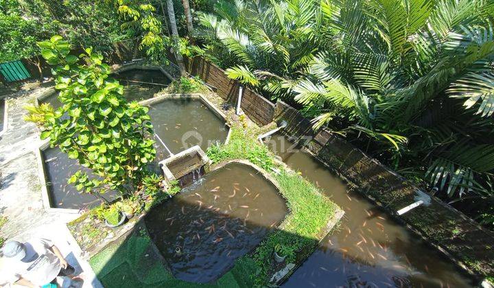 MURAH BANGET...! RUMAH MEWAH MODERN 3 LANTAI DENGAN TANAH LUAS DAN BONUS KOLAM IKAN DI TURI SLEMAN YOGYAKARTA 14