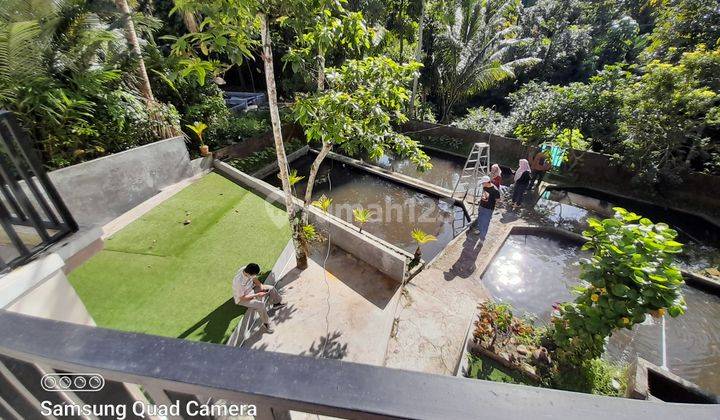 MURAH BANGET...! RUMAH MEWAH MODERN 3 LANTAI DENGAN TANAH LUAS DAN BONUS KOLAM IKAN DI TURI SLEMAN YOGYAKARTA 28