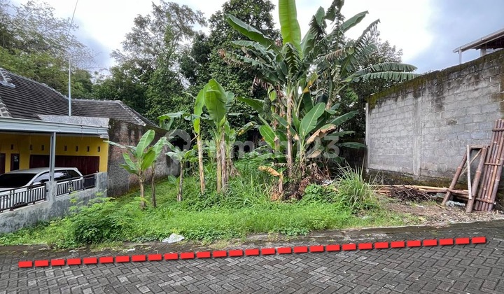 Tanah Cantik Shm Pekarangan Di Jalan Kaliurang Km 9.5 Gentan Sindumartani Ngaglik Sleman